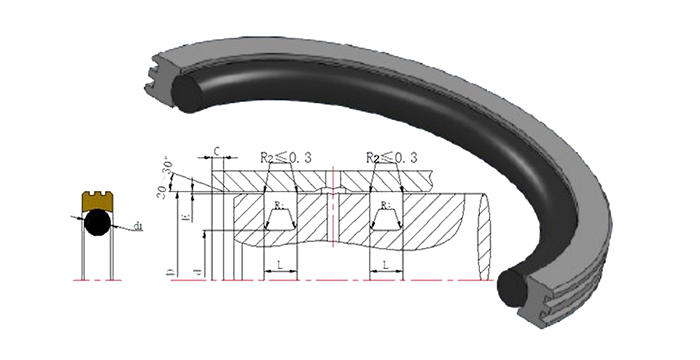 軸用旋轉(zhuǎn)密封圈又是組合型油封嗎？