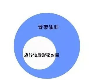 關于旋轉軸唇形密封圈與骨架油封的區(qū)別